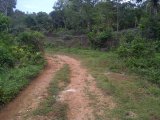 Retirement Farm Lot 1 ID 1679 HCA590, St. Mary, Jamaica - Commercial/farm land for Sale